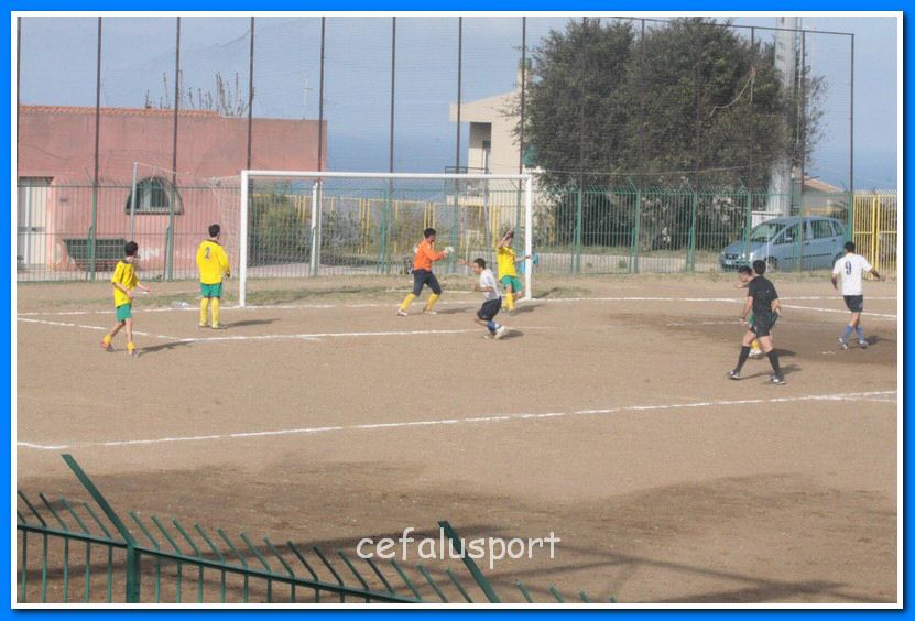 130406 delfini 111_tn.jpg